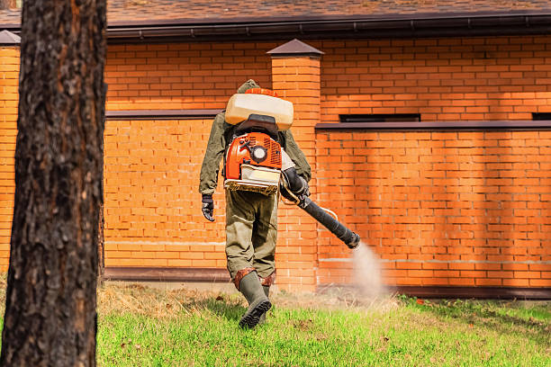Trusted Cockroach Control service in Missouri City, TX - Nex Pest Control